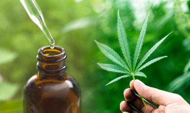 Top 10 CBD oils UK