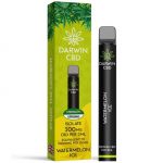 Watermelon Ice Disposable CBD Vape 300mg By Darwin CBD